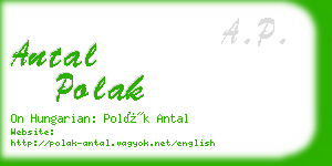 antal polak business card